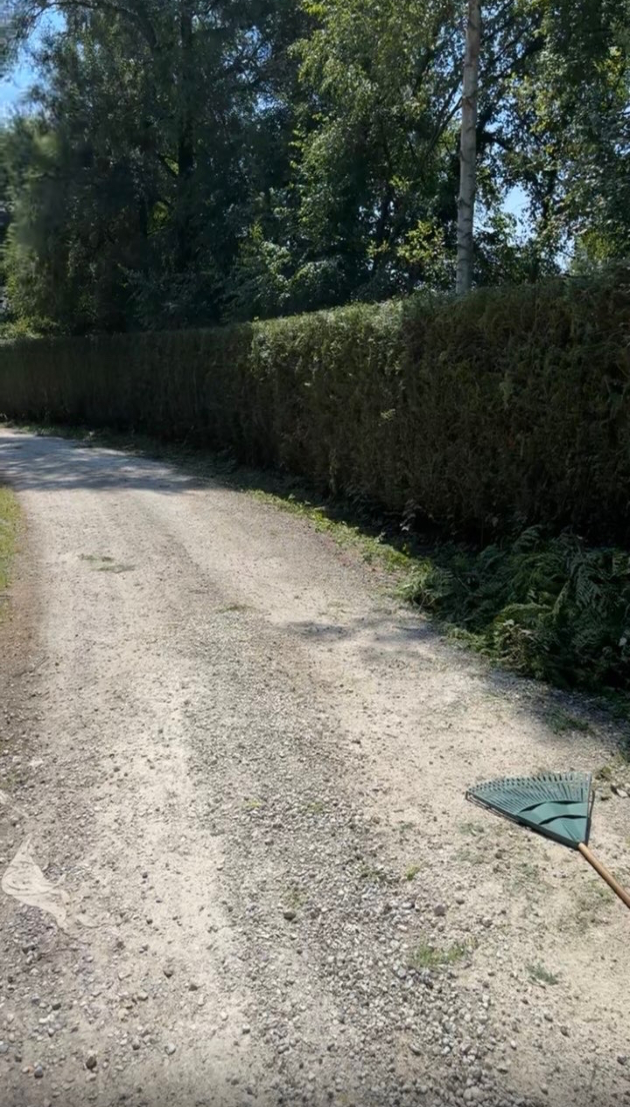 taille de haie bordure de route